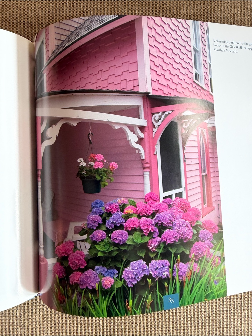 Hydrangeas Cape Cod Book by Joan Harrison - Picture 4 of 8